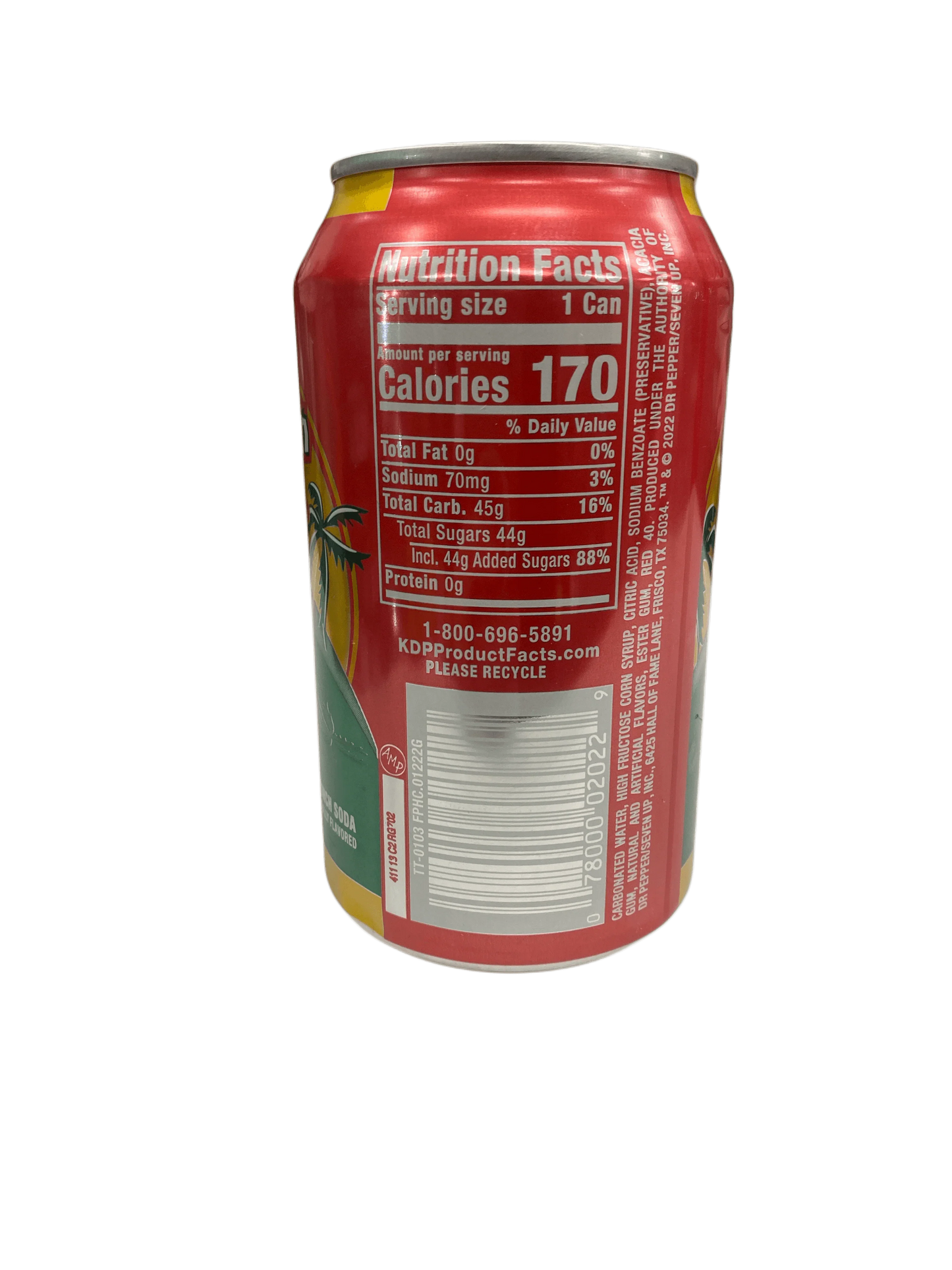 Tahitian Treat Fruit Punch Can 355ml - U.S Edition